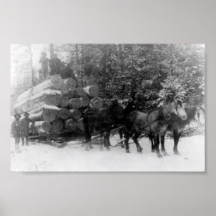 Rundholzverkleidung Poster