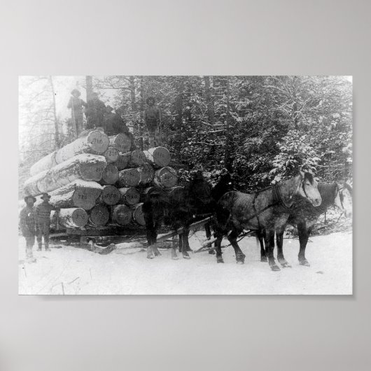 Rundholzverkleidung Poster (Vorne)