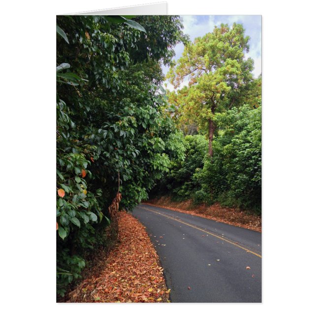 Rundlaufantrieb (Vorne)