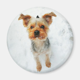 Rundmagazin Magnet