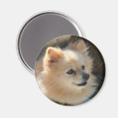 Rundmagnet des Spitzes Magnet (Vorderseite/Rückseite)