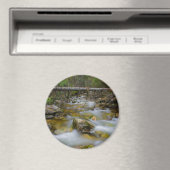 Rundmagnet Magnet (In Situ (Geschirrspüler))