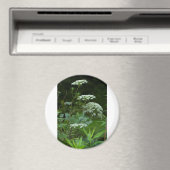 Rundmagnete Magnet (In Situ (Geschirrspüler))