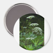 Rundmagnete Magnet (Vorderseite/Rückseite)