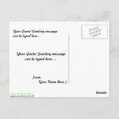 Rundnasen-Minnow Postkarte (Rückseite)