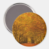 Rundweg durch den Wald im Herbst Magnet (Vorderseite/Rückseite)