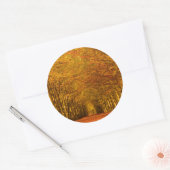 Rundweg durch den Wald im Herbst Runder Aufkleber (Umschlag)