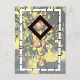 Rune Ingwaz — Hero Postcard Postkarte