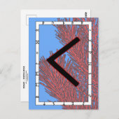 Rune Kenaz - Knowledge Postcard Postkarte (Vorne/Hinten)