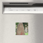 Runenstein Magnet (In Situ (Geschirrspüler))
