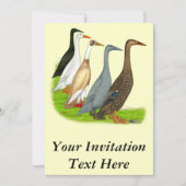 Runner-Duck-Sortiment Einladung (Vorderseite)