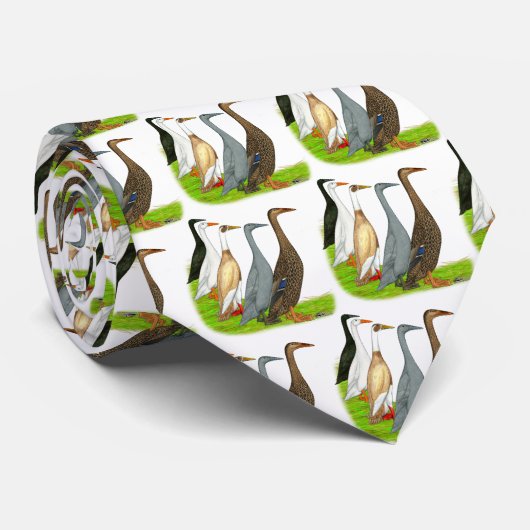 Runner-Duck-Sortiment Krawatte (Gerollt)