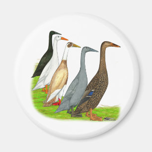 Runner-Duck-Sortiment Magnet