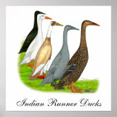 Runner-Duck-Sortiment Poster (Vorne)