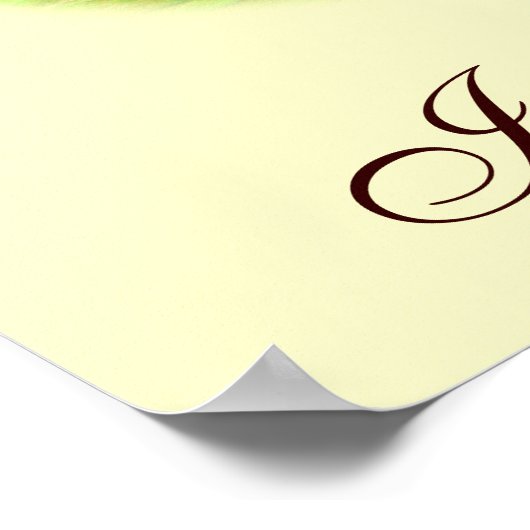 Runner-Duck-Sortiment Poster (Ecke)