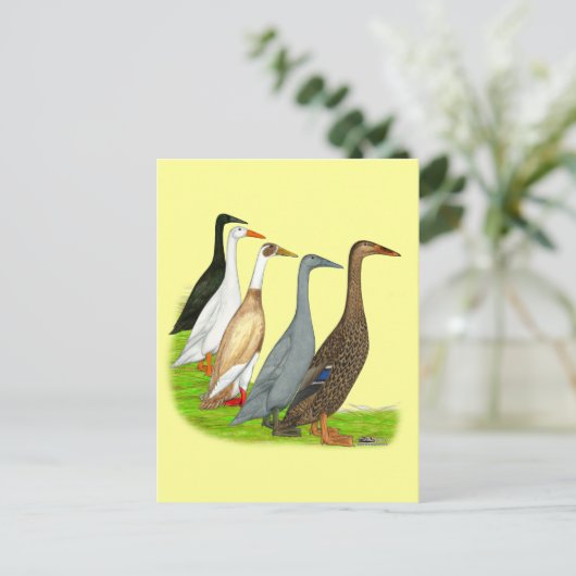 Runner-Duck-Sortiment Postkarte (Stehend Vorderseite)