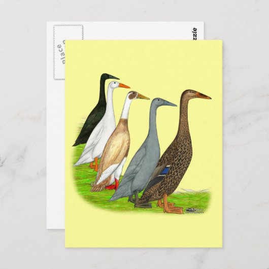 Runner-Duck-Sortiment Postkarte (Vorne/Hinten)