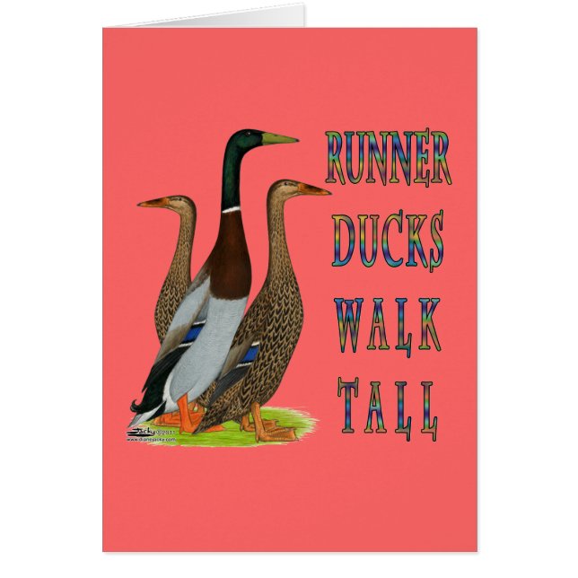 Runner Ducks Walk Tall (Vorne)