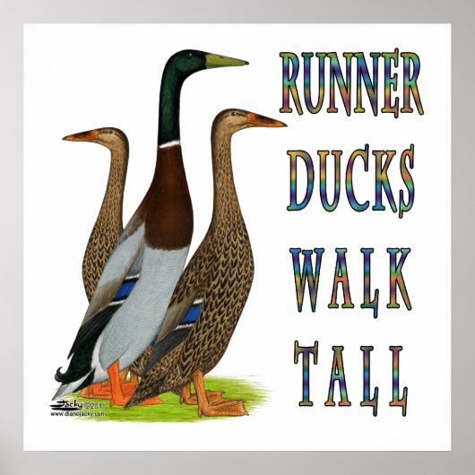 Runner Ducks Walk Tall Poster (Vorne)