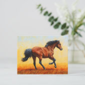 Running Bay Horse Wild Mustang Postkarte (Stehend Vorderseite)