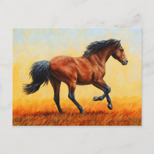 Running Bay Horse Wild Mustang Postkarte