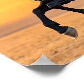 Running Black Stallion Poster (Ecke)