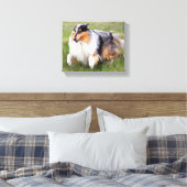 Running Blue Merle Collie Leinwanddruck (Insitu (Schlafzimmer))