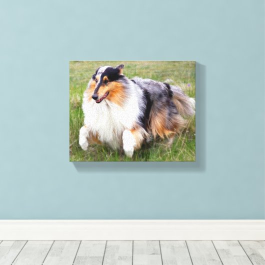 Running Blue Merle Collie Leinwanddruck (Insitu (Holzboden))