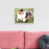 Running Blue Merle Collie Leinwanddruck (Insitu (Wohnzimmer))