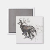 Running Chamois Magnet (Vorderseite/Rückseite)