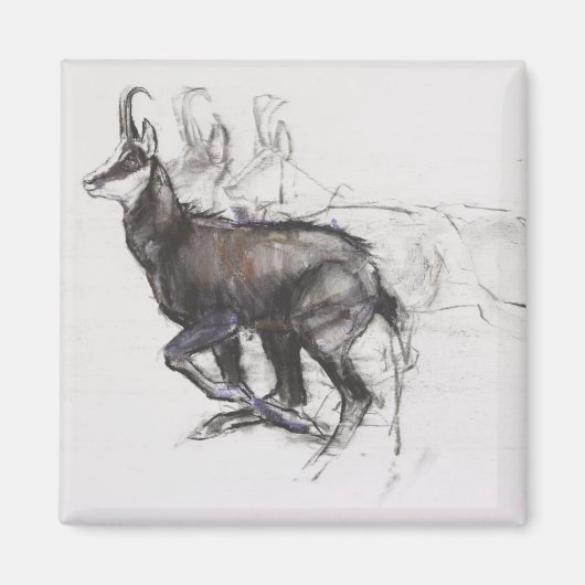 Running Chamois Magnet (Vorne)