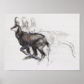 Running Chamois Poster (Vorne)