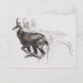 Running Chamois Postkarte (Vorderseite)