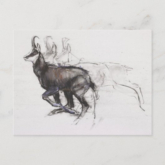 Running Chamois Postkarte (Vorderseite)