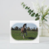 Running Clydesdale Postkarte (Stehend Vorderseite)