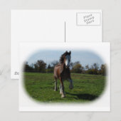 Running Clydesdale Postkarte (Vorne/Hinten)