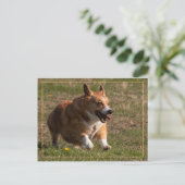 Running Corgi Postkarte (Stehend Vorderseite)