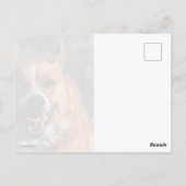 Running Corgi Postkarte (Rückseite)