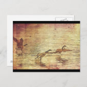Running Ducks Postkarte (Vorne/Hinten)