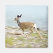 Running Fawn Magnet (Vorne)