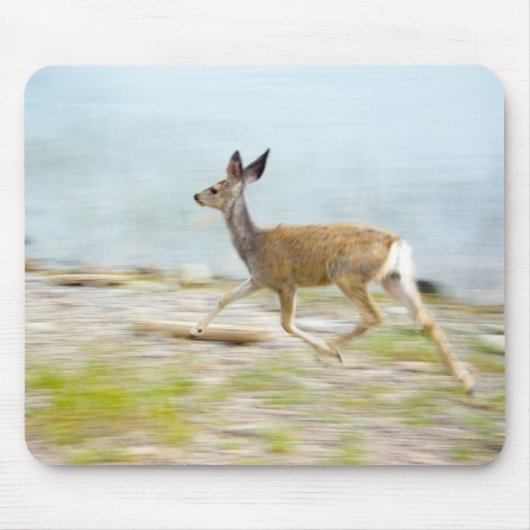 Running Fawn Mousepad (Vorne)