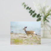 Running Fawn Postcard Postkarte (Stehend Vorderseite)