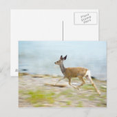 Running Fawn Postcard Postkarte (Vorne/Hinten)
