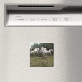 Running Graue Horse Herde Magnet (In Situ (Geschirrspüler))