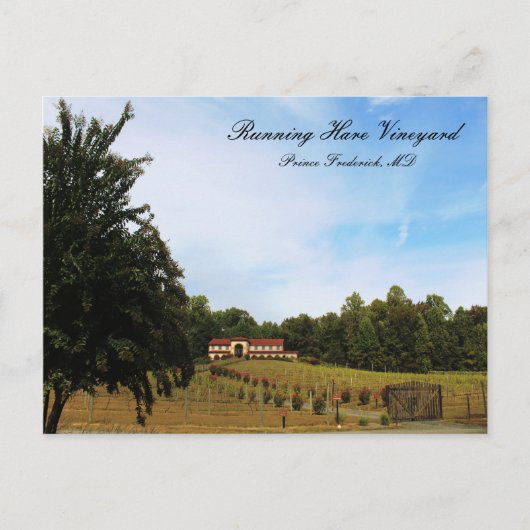 Running Hare Vineyard Postkarte (Vorderseite)