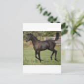 Running-Horse-2 Postkarte (Stehend Vorderseite)