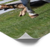 RUNNING HORSE & DOG POSTER (Ecke)