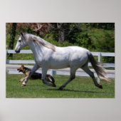 RUNNING HORSE & DOG POSTER (Vorne)