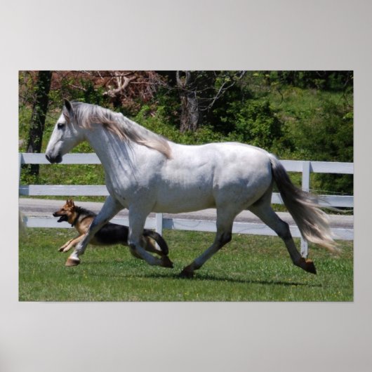RUNNING HORSE & DOG POSTER (Vorne)