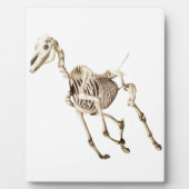 Running Horse Skeleton Fotoplatte (Vorderseite)